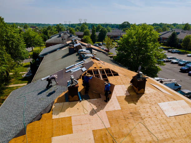 Roof Gutter Cleaning in Waverly, VA