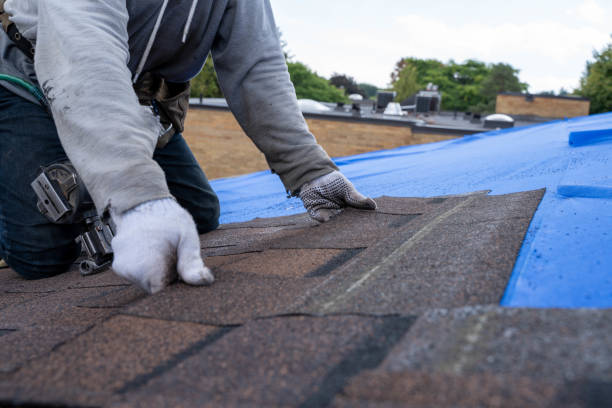 Quick and Trustworthy Emergency Roof Repair Services in Waverly, VA