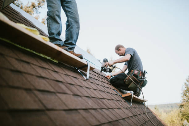 Best Roof Gutter Cleaning  in Waverly, VA