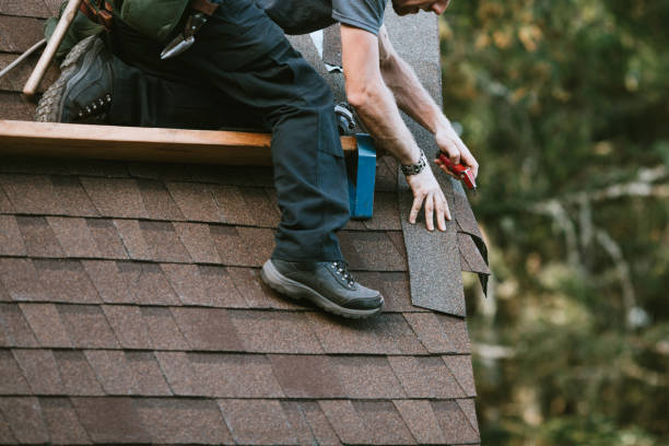 Professional Roofing Contractor in Waverly, VA